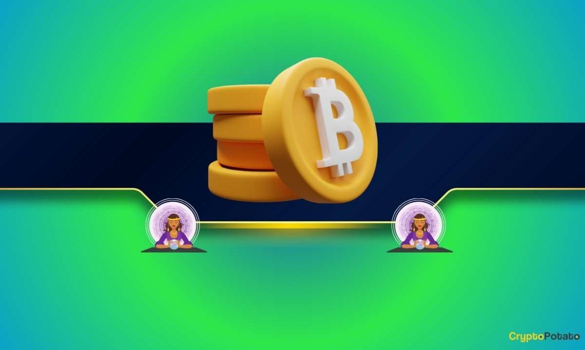 Bitcoin Whales Go on Big Accumulation Spree but Don't Be Bullish Just Yet: Analysts