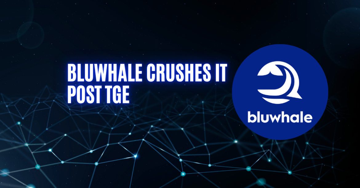 Bluwhale Crushing After Its TGE – Product Release & Updates Bluwhale Crushing After Its TGE - Product Release & Updates