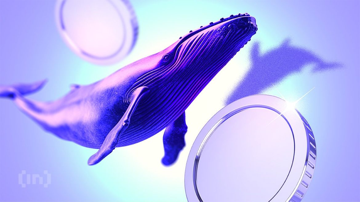 Crypto Roller Coaster: The Return of &#8220;Trump Trade&#8221;