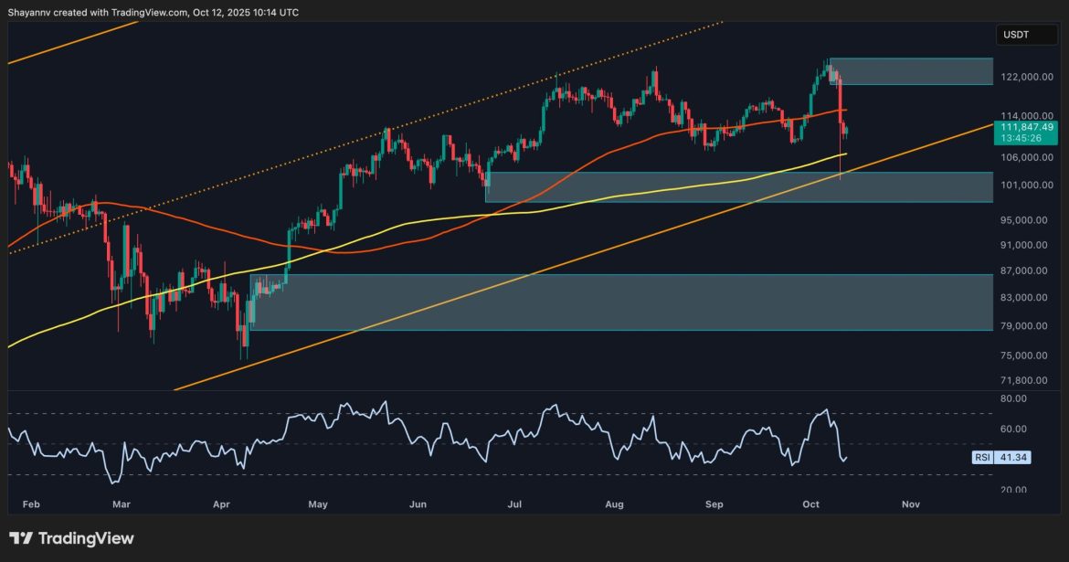 Is BTC's Momentum Leaning Bearish After the Crash?