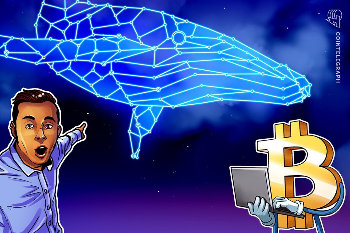 Mystery Whale Opens $163M Bitcoin Short After $192M Profit