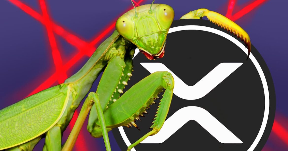 Ripple offers $200,000 to those who find bugs in coming XRP Ledger lending protocol – DL News