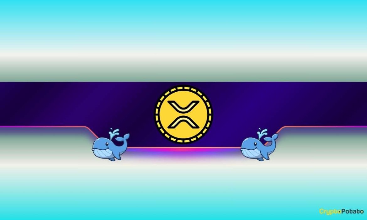 720,000,000 XRP Bought in 3 Days: Are Ripple Whales Preparing for a Pump?