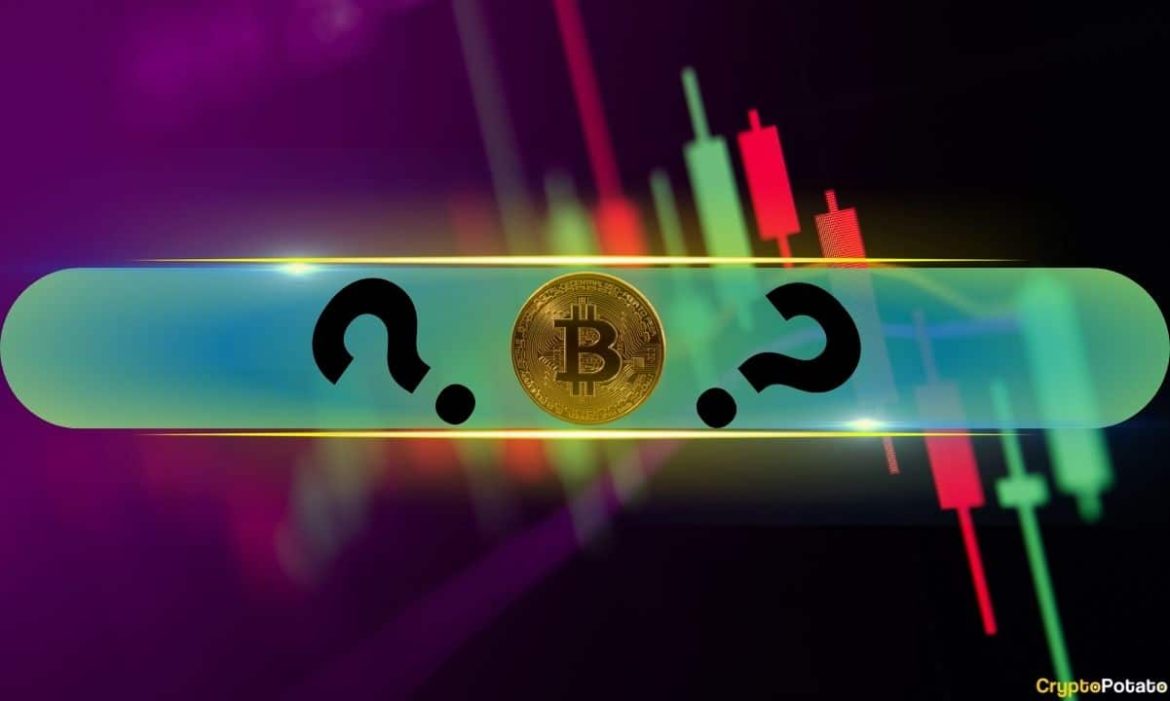 Massive Double-Digit Gains From These Alts as BTC Returns to $80K: Weekend Watch