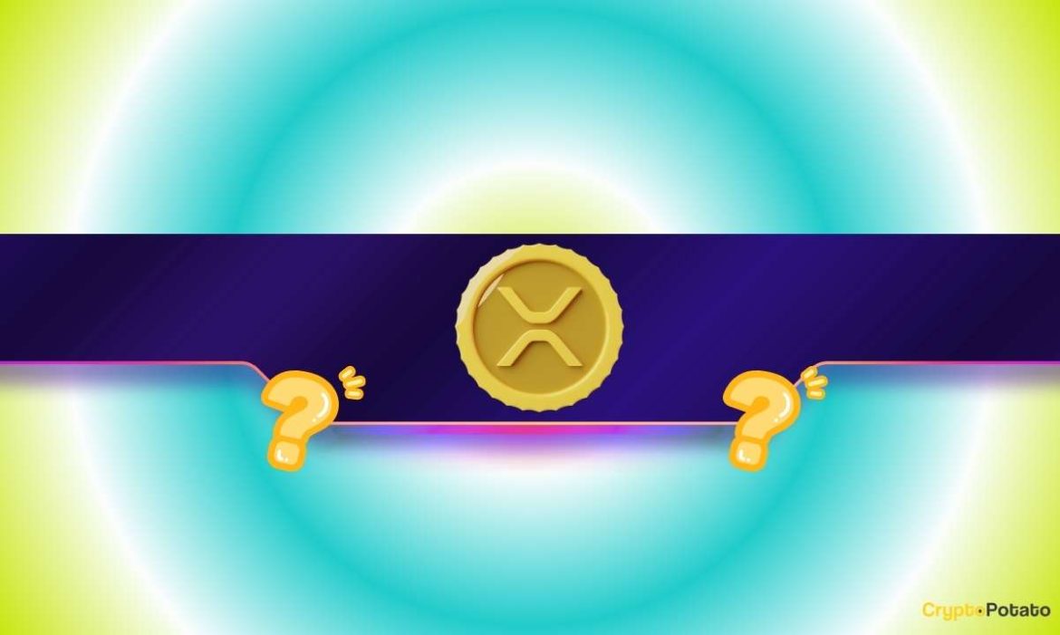 XRP Community Gets a Harsh Warning as Bitcoin Dominance Tightens