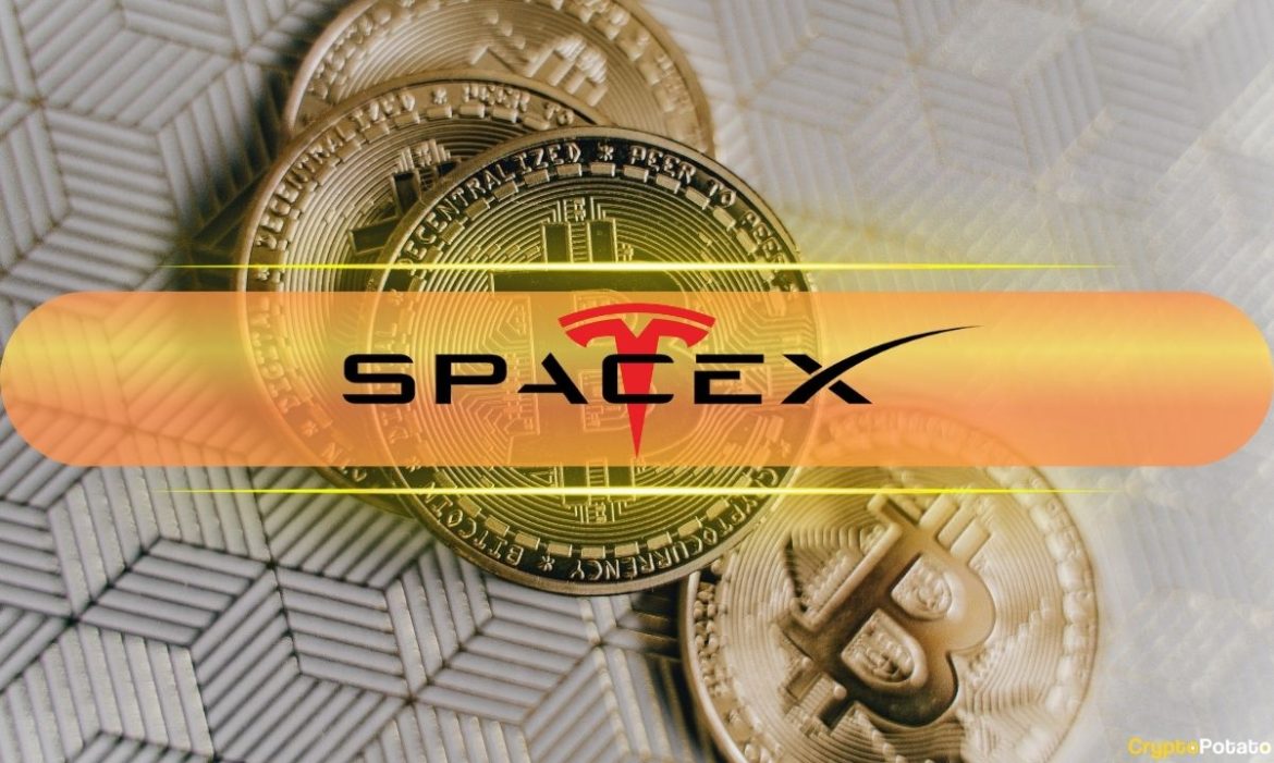 SpaceX Dominates as Tokenized Pre-IPO Trading Volume Surges 1,060%: CoinGecko