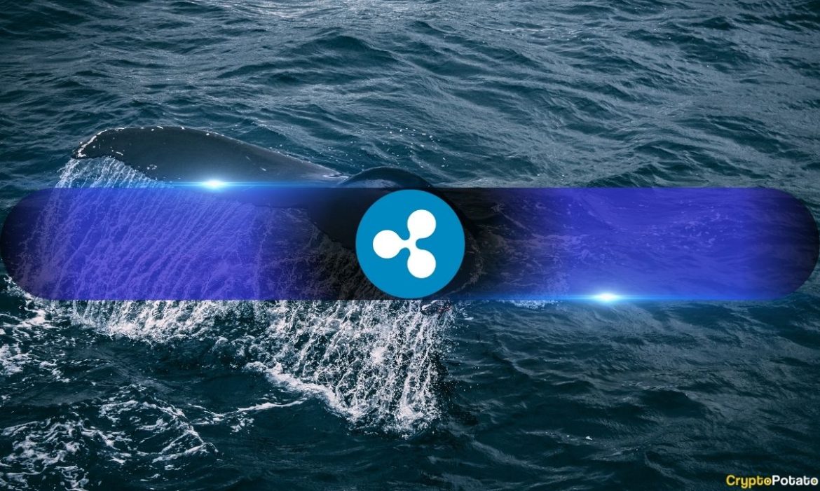 XRP Whales Are Moving On, and Binance Is No Longer Their Top Choice