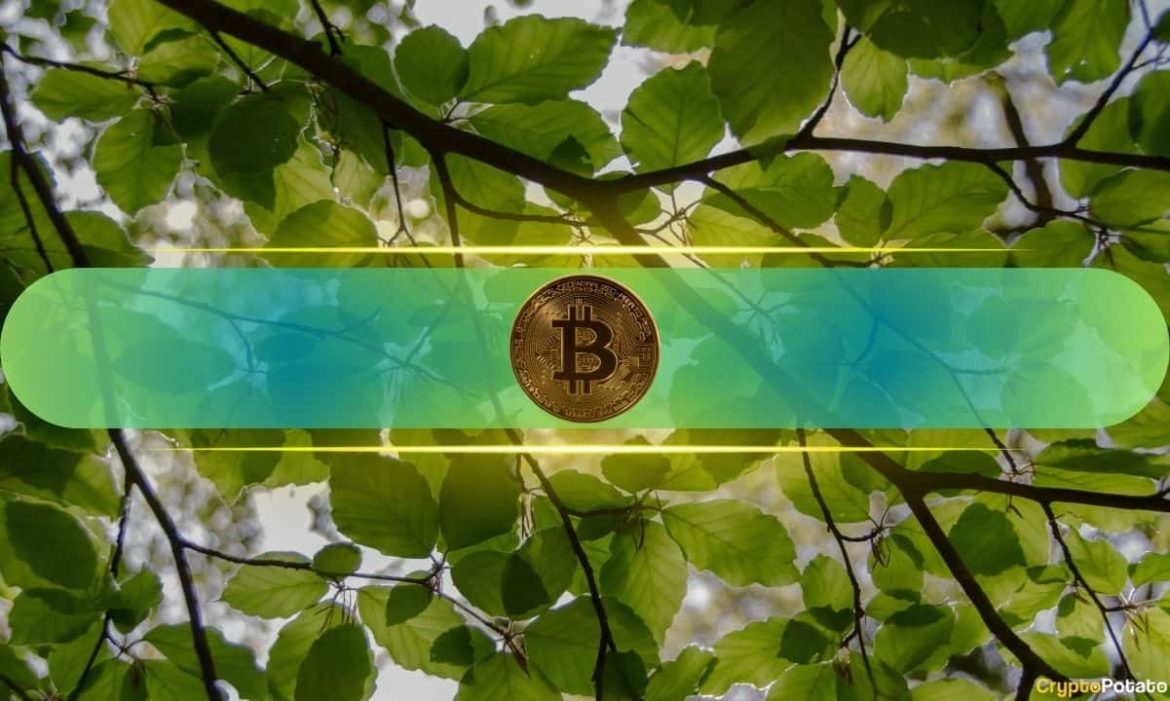 4 Key Reasons Behind Bitcoin's (BTC) Rally Above $66K