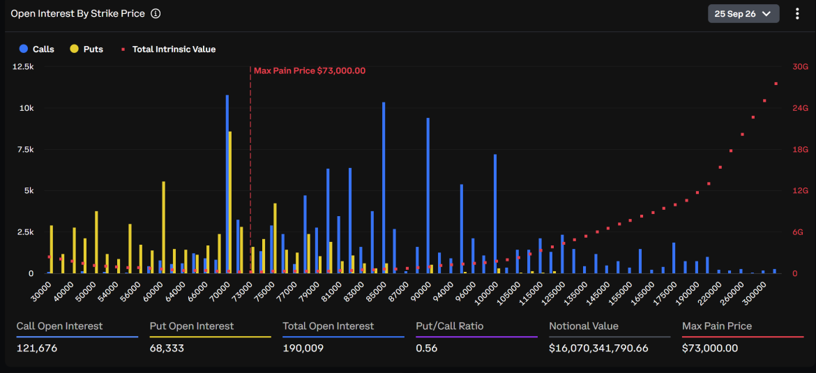 Bitcoin Options Market for Contracts Expiring Friday. Source: Deribit