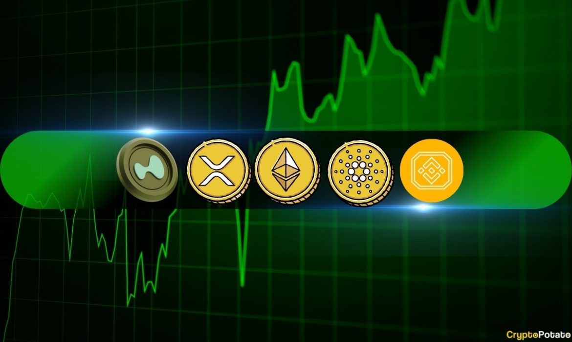 ETH, XRP, ADA, BNB, and HYPE